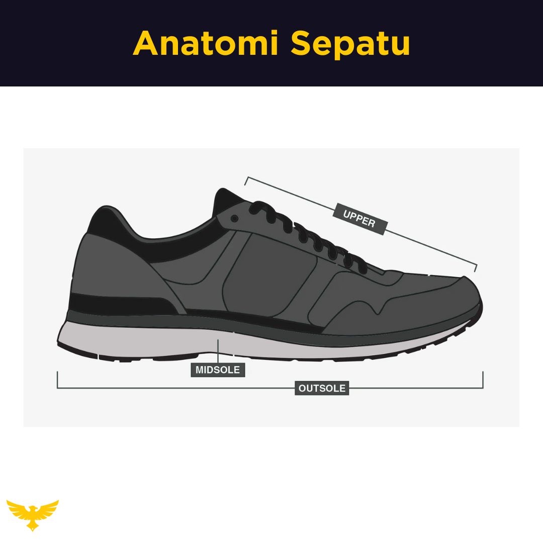 Gambar Anatomi Sepatu Safety